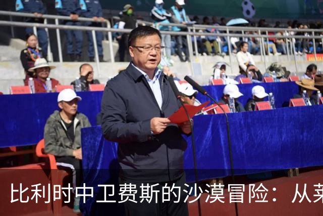 比利时中卫费斯的沙漠冒险：从莱斯特城到迪拜青年国民